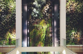 Jardins Verticais: Sofisticação e Natureza em Imóveis de Luxo